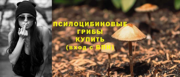 стаф Алексин