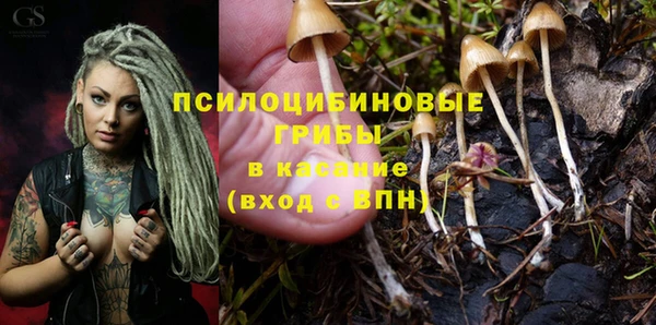 стаф Алексин