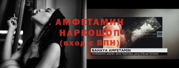 стаф Алексин