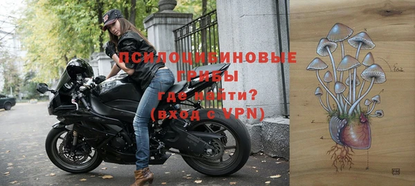 стаф Алексин