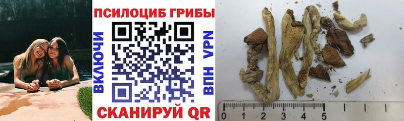 купить закладку  Удачный  Галлюциногенные грибы MAGIC MUSHROOMS 